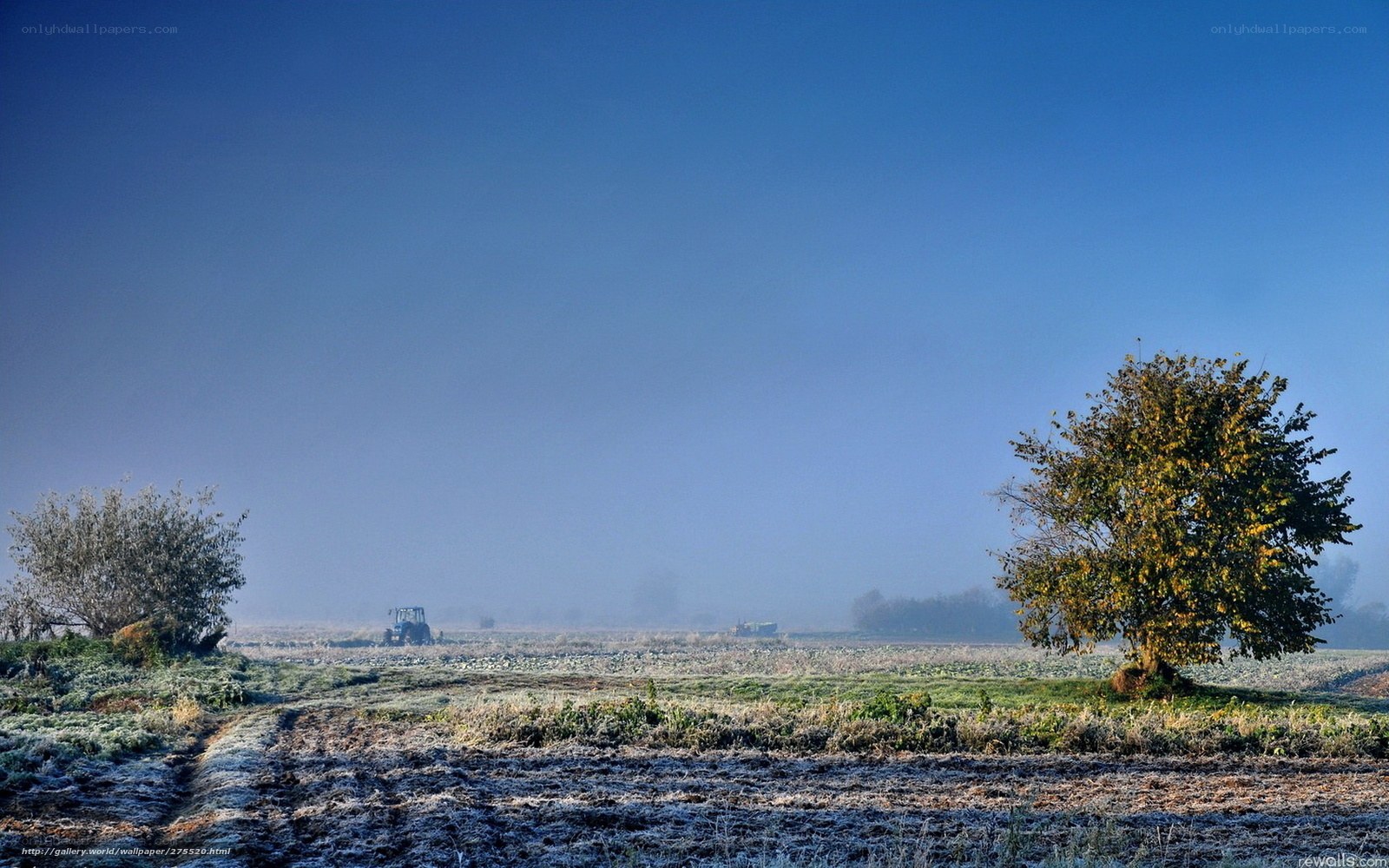 Frosty morning in the countryside