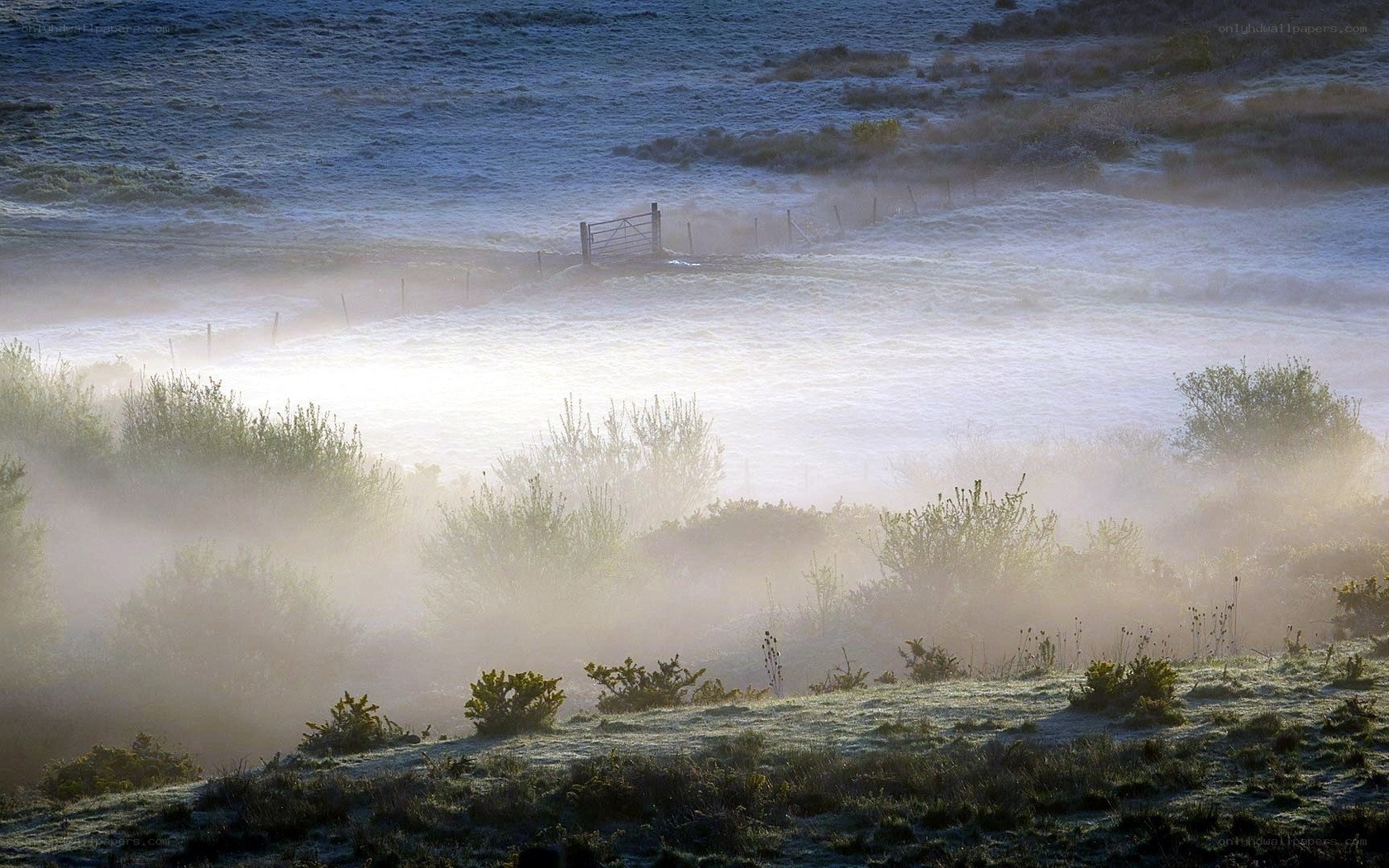 Frosty morning mist landscape