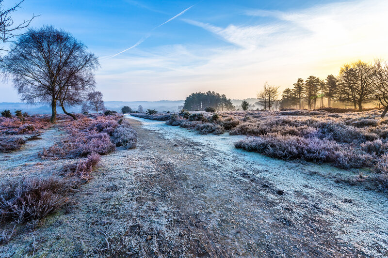 Frosty morning on a country path