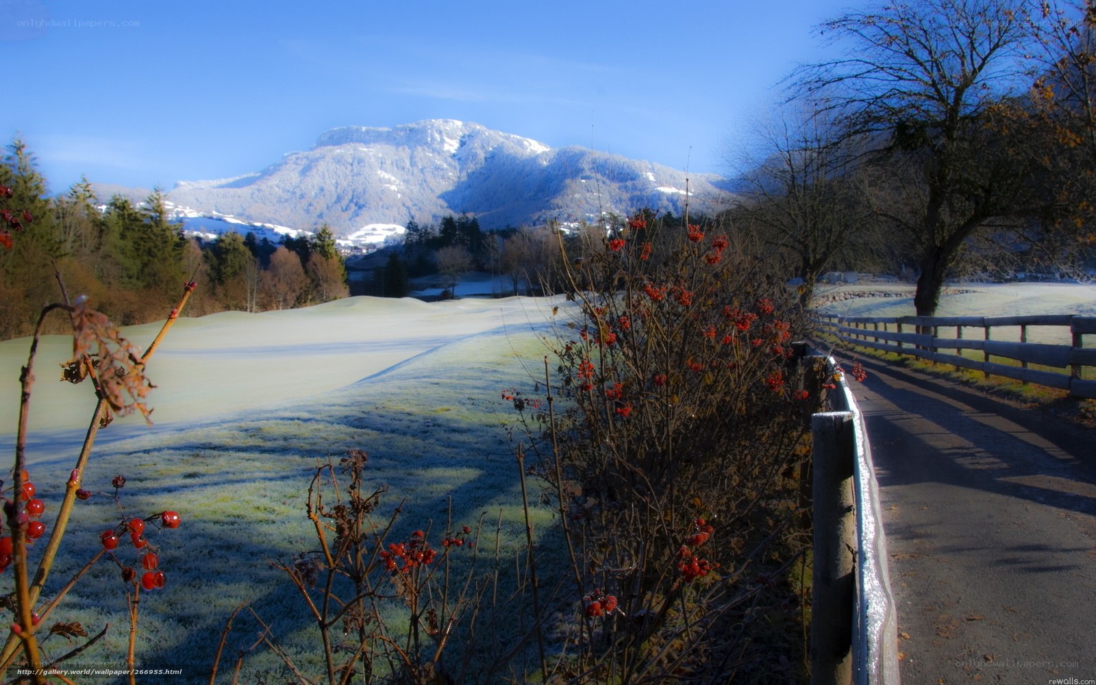 Frosty mountain landscape