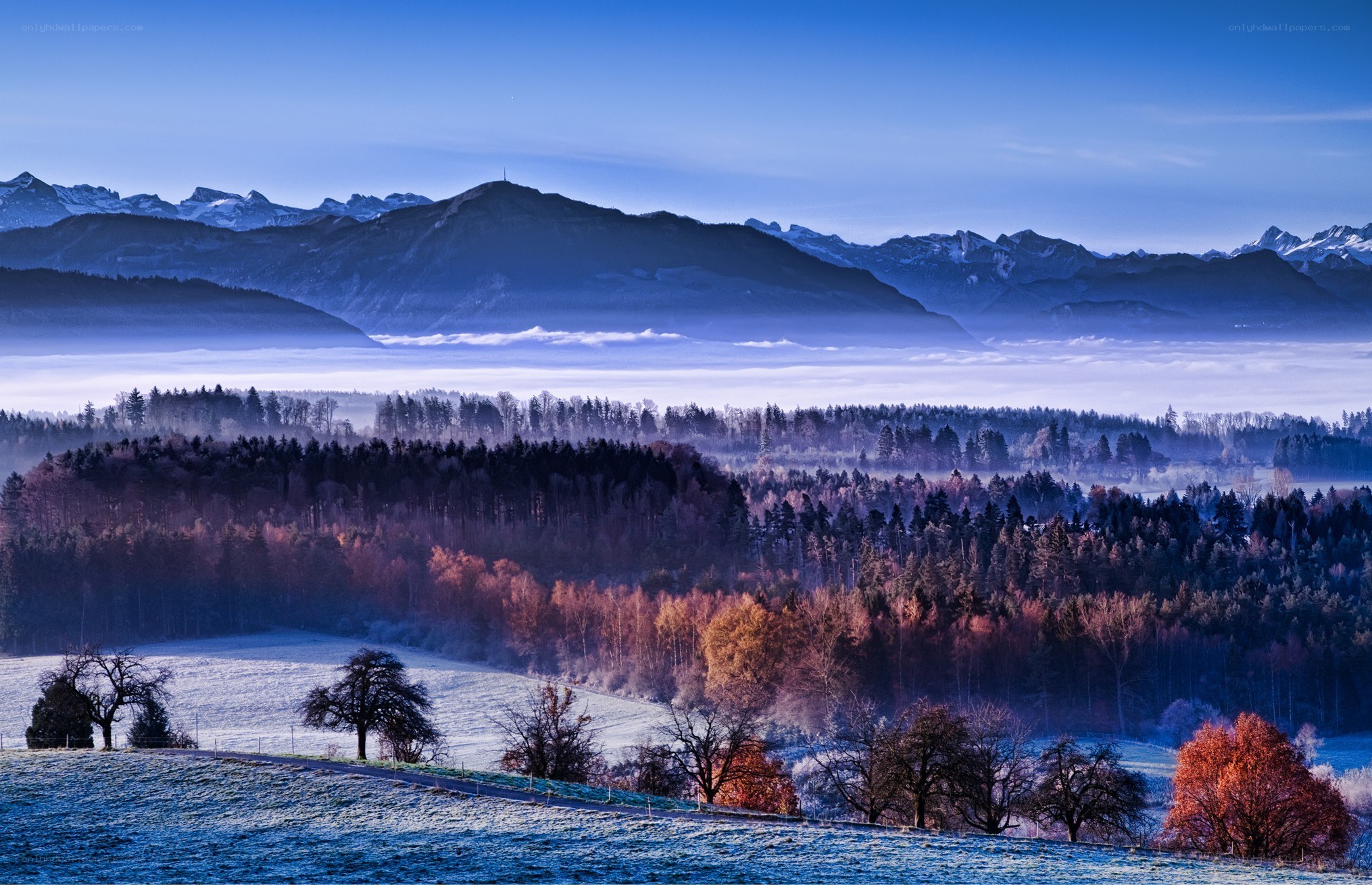 Frosty mountain valley at dawn