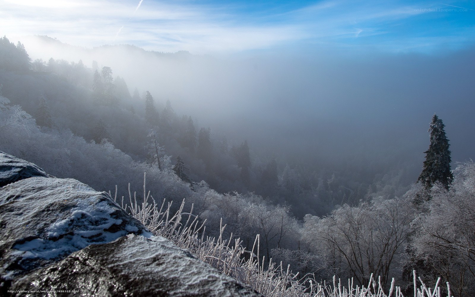 Frosty mountain valley