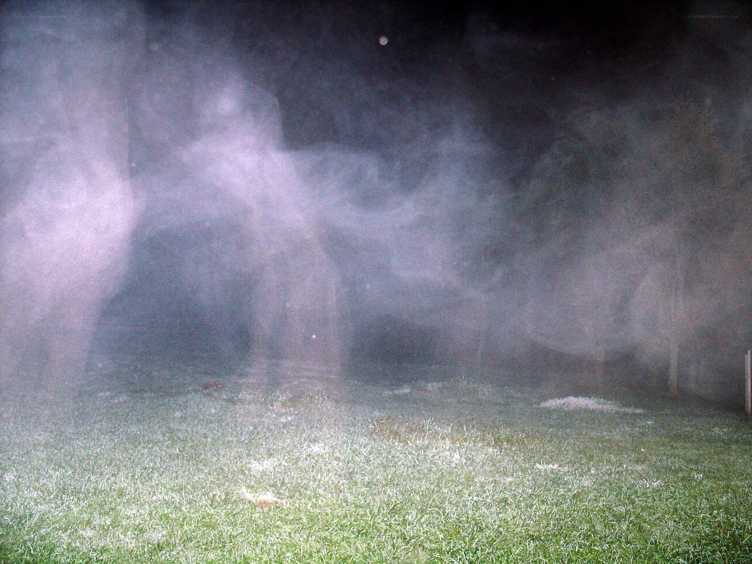 frosty night in the yard
