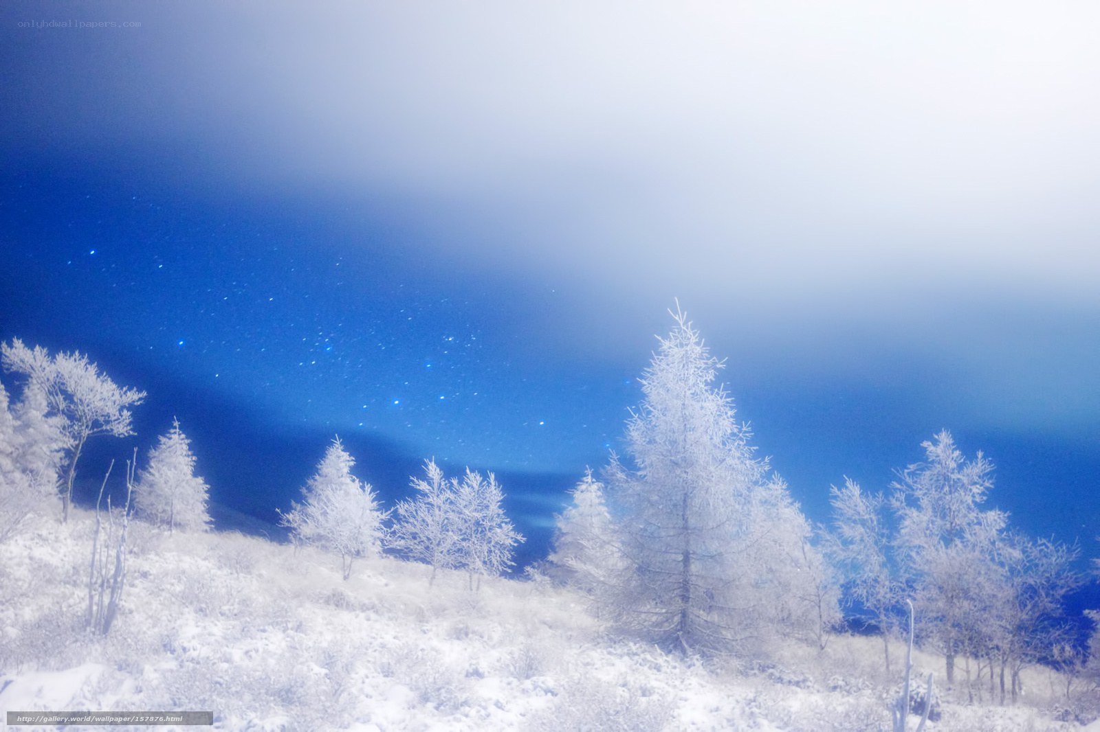 Frosty night under starry sky
