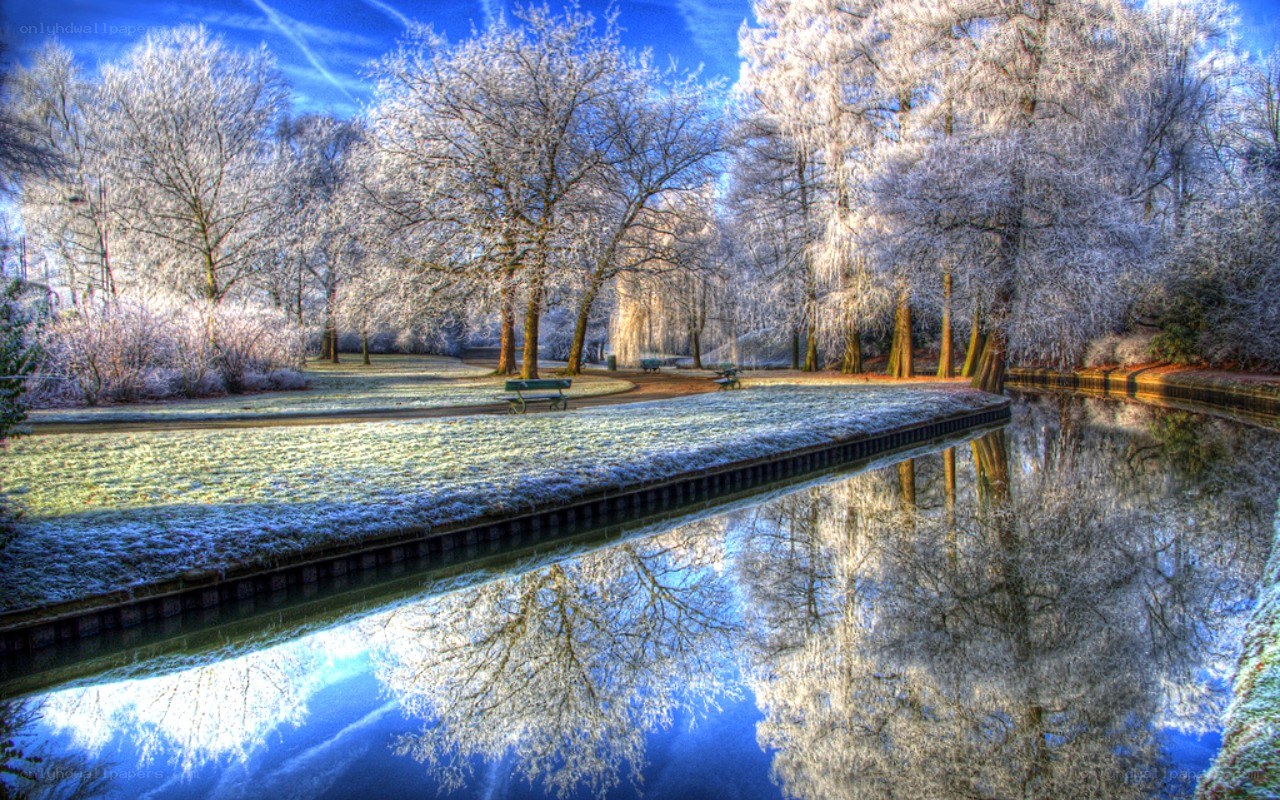 Frosty park with canal reflection