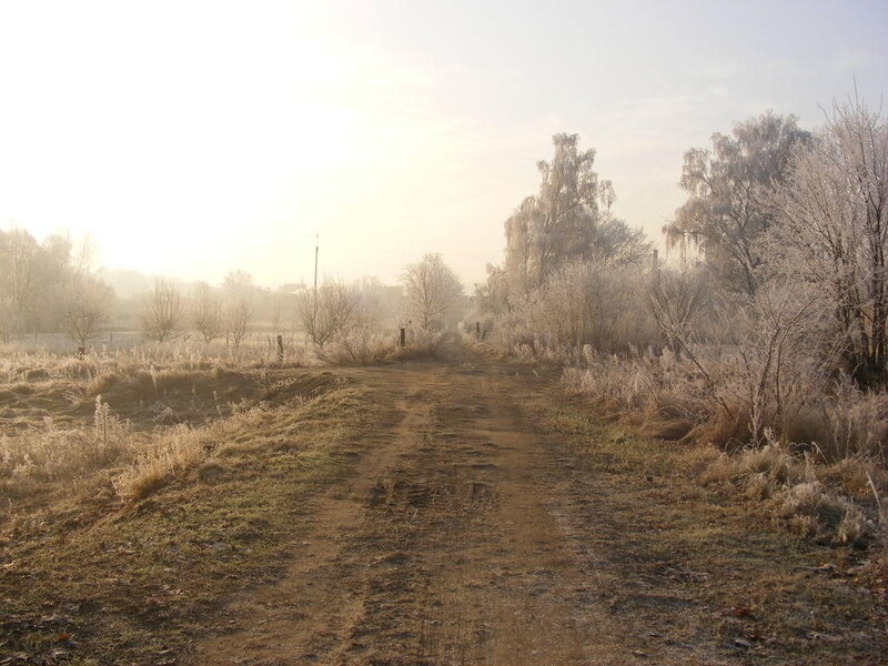 frosty path at sunrise