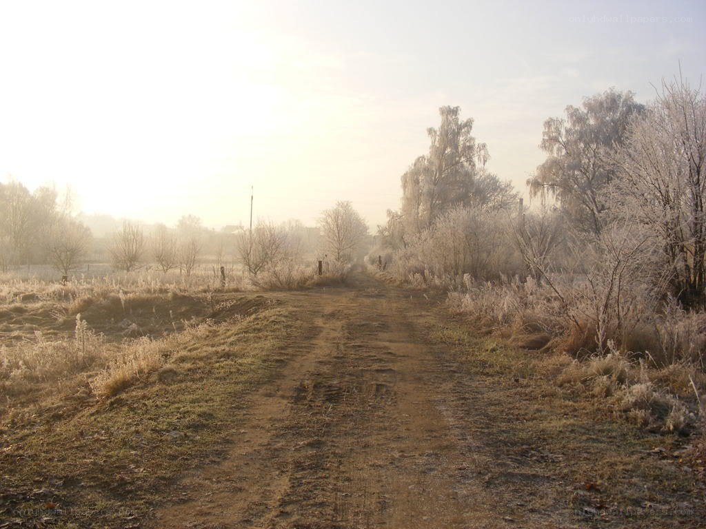 frosty path at sunrise