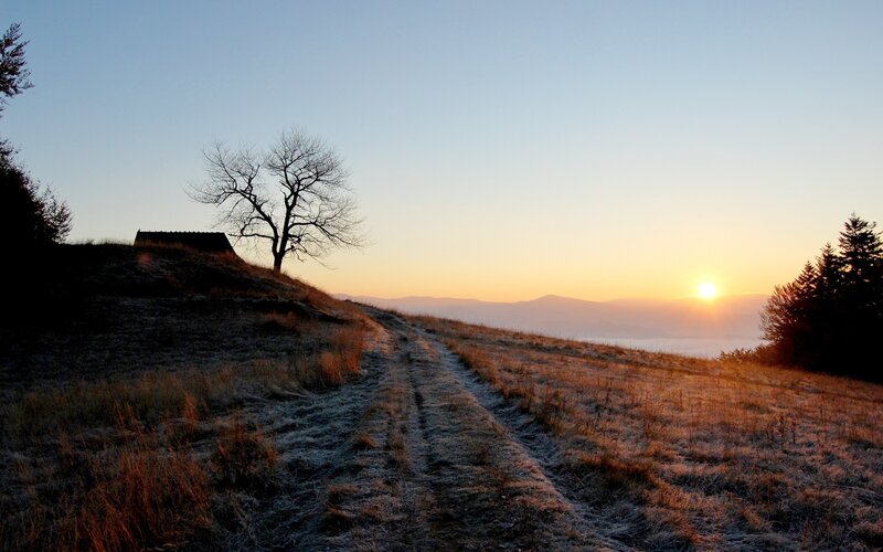 Frosty Path at Sunrise — Blue