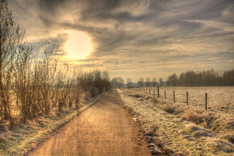 Frosty Path at Sunrise — Gold