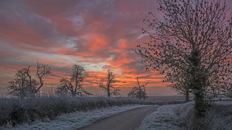 Frosty Path at Sunrise — Orange