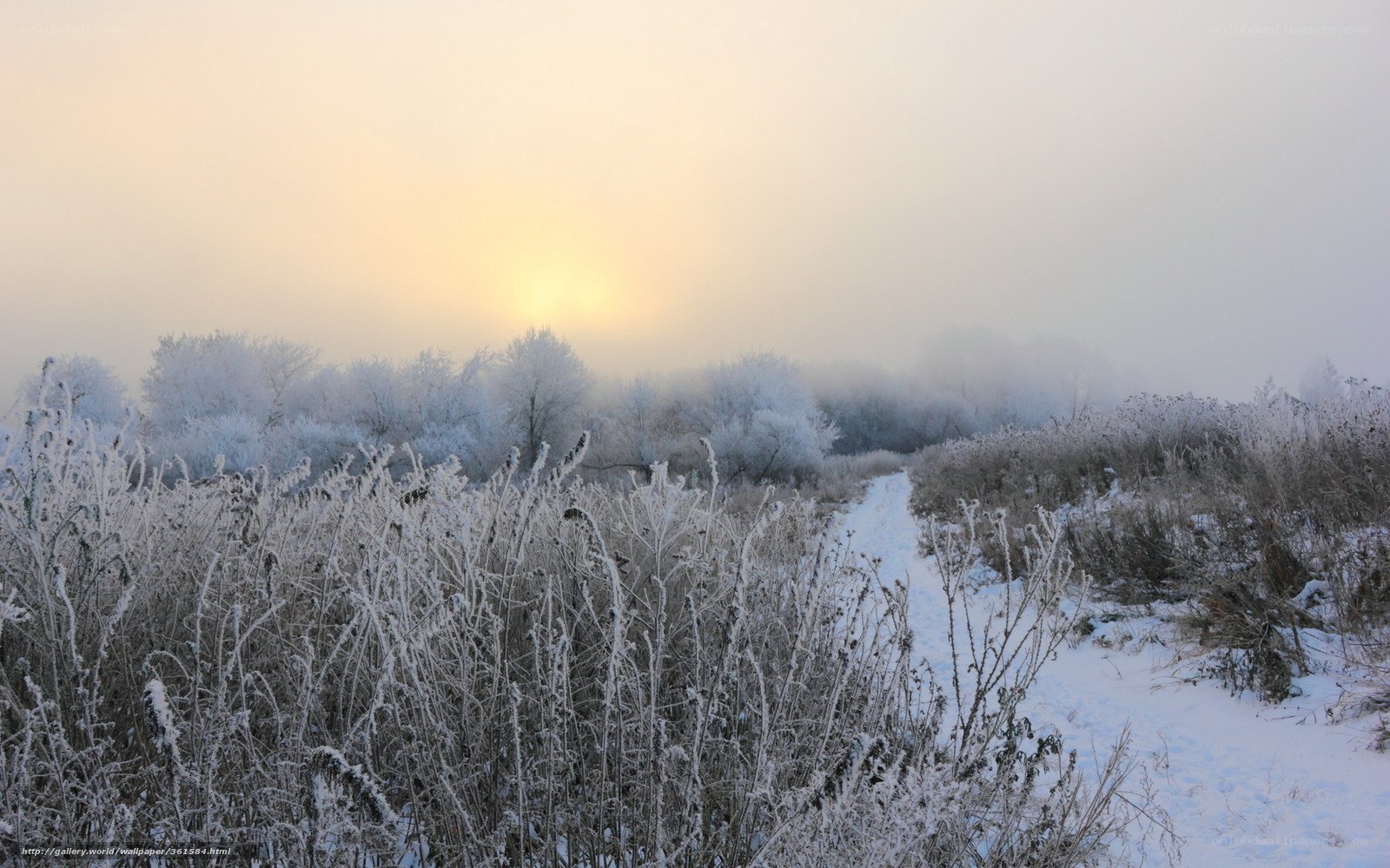 Frosty path at sunrise
