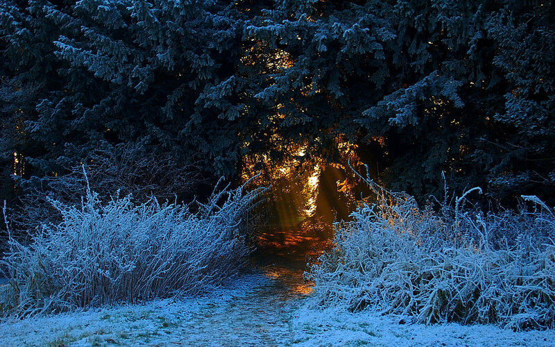 frosty path at sunset