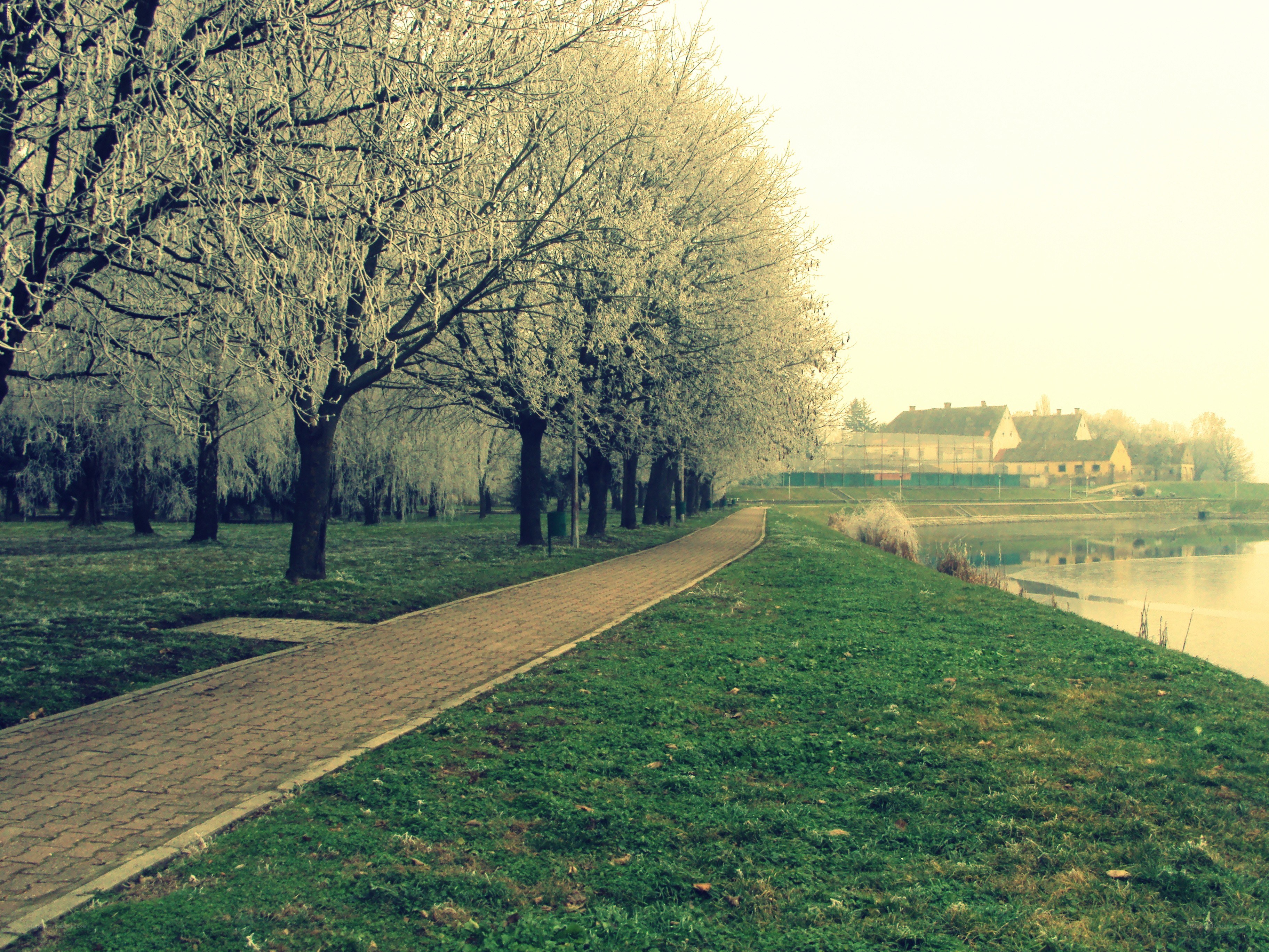 Frosty path by the lake