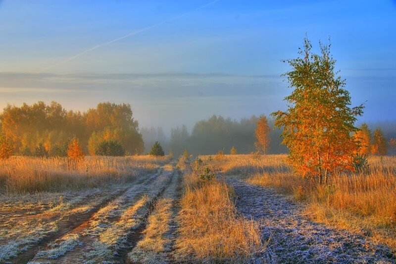 Frosty Path in Autumn