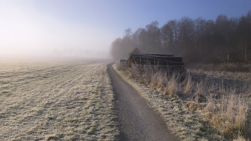 Frosty Path in Fog