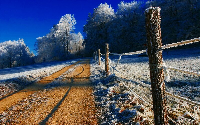 frosty path in winter