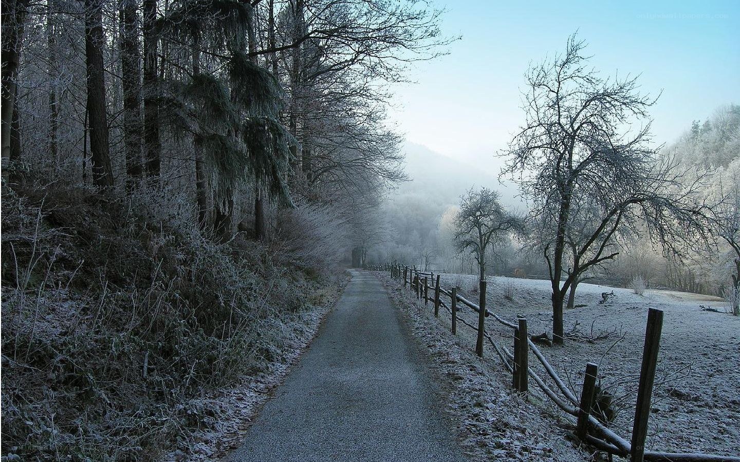 frosty path in winter landscape