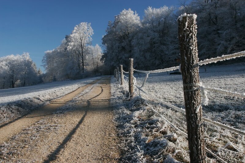 Frosty path in winter landscape