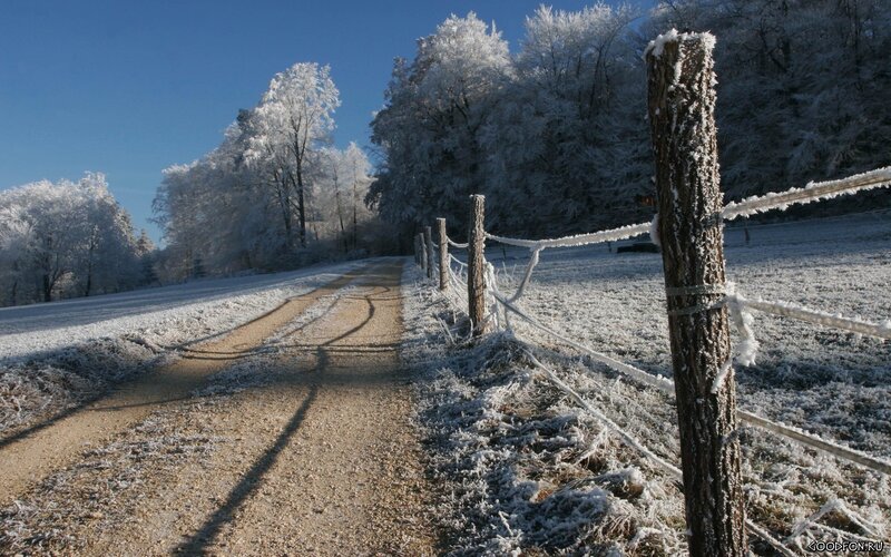 Frosty path in winter
