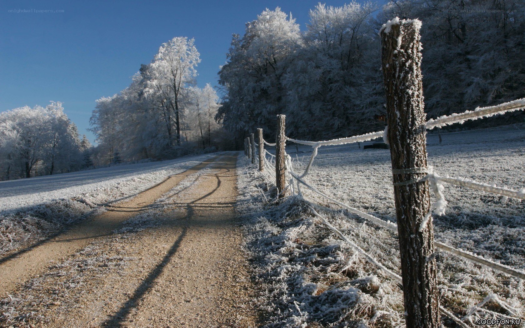 Frosty path in winter