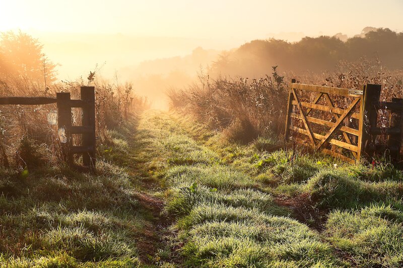 Frosty Path with Gates