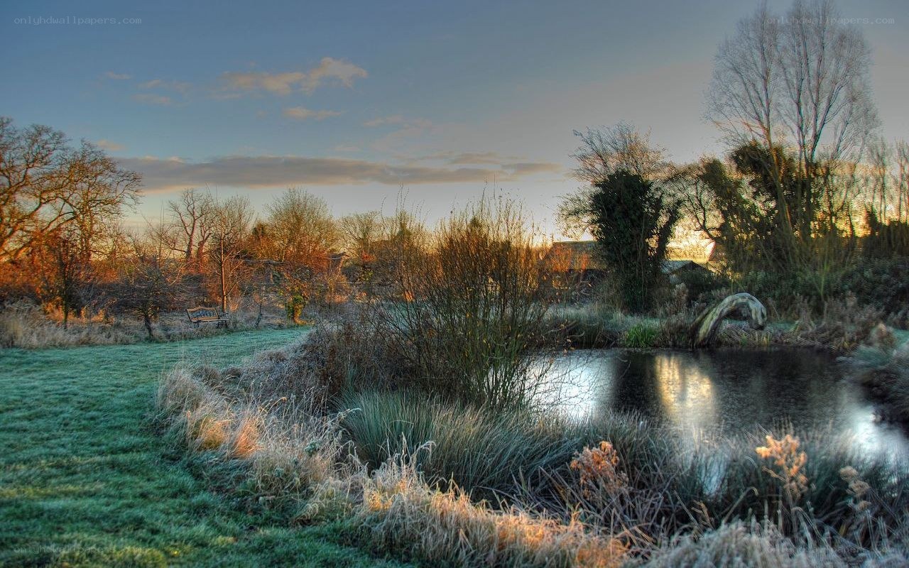 Frosty pond at dawn