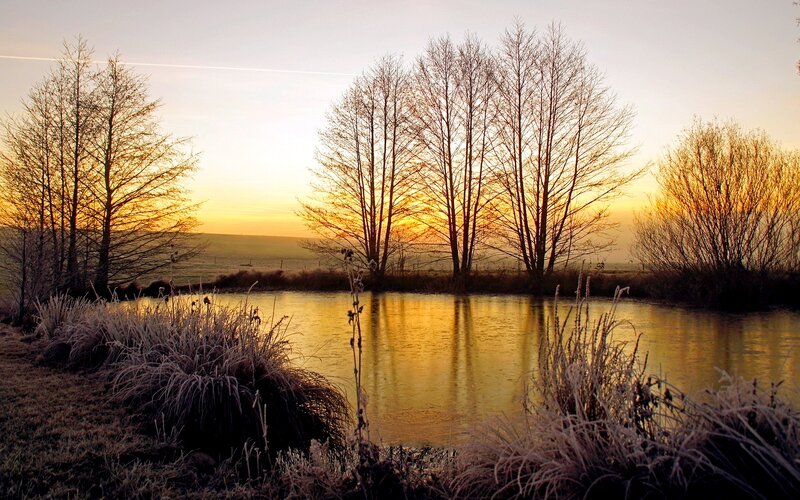 Frosty Pond at Sunrise — Gold