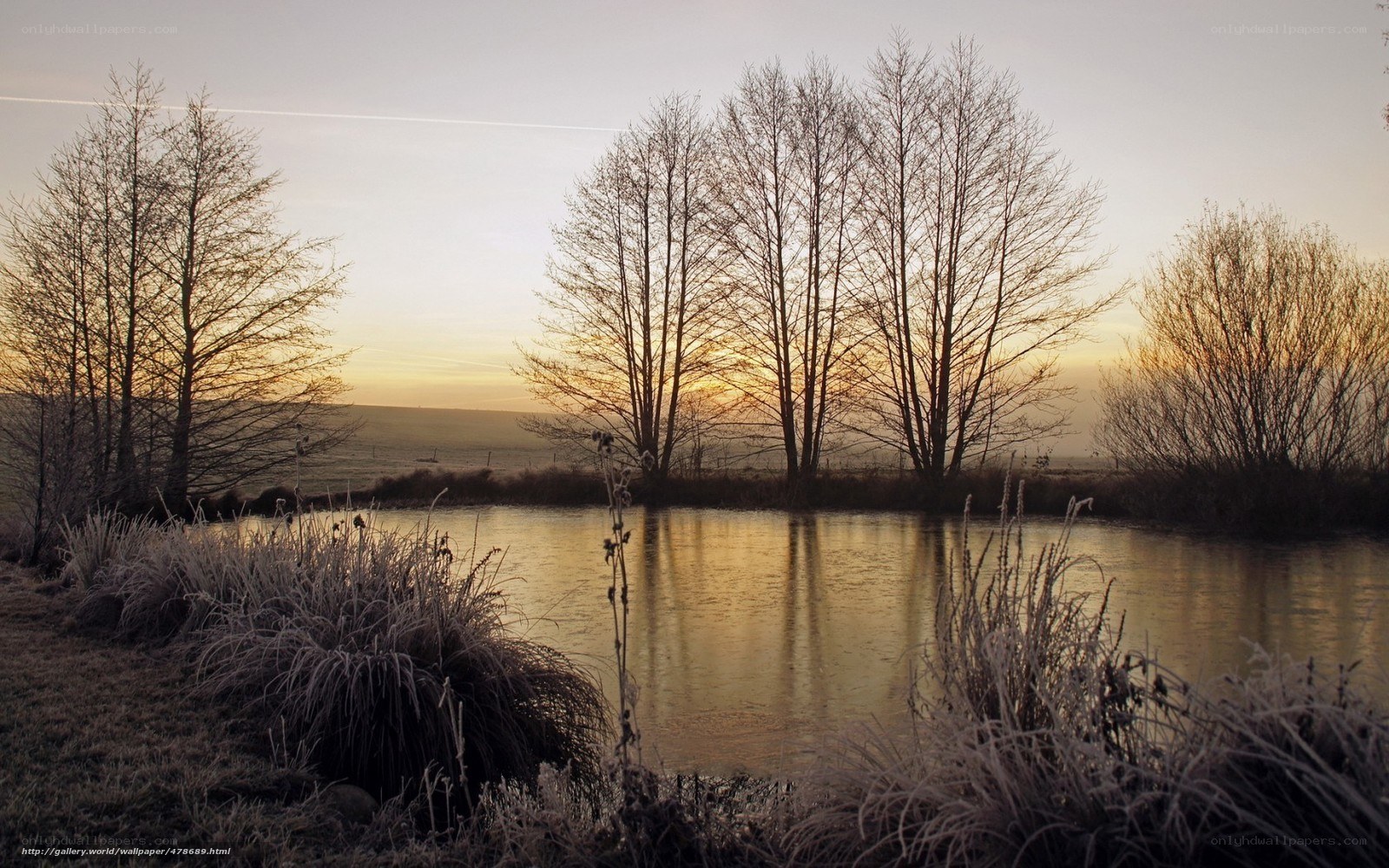 Frosty pond at sunset