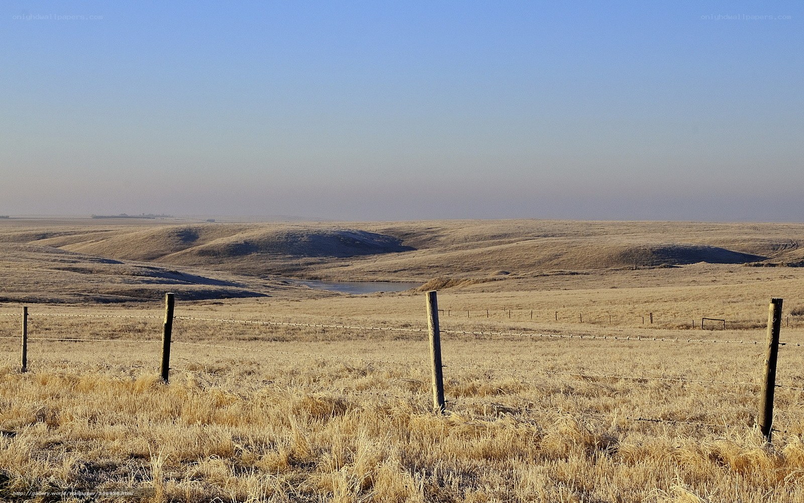 Frosty prairie landscape