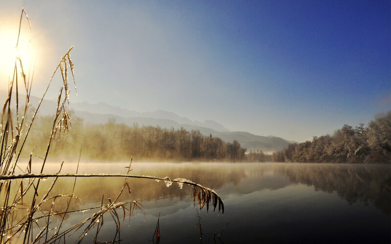 Frosty Reeds on Lake