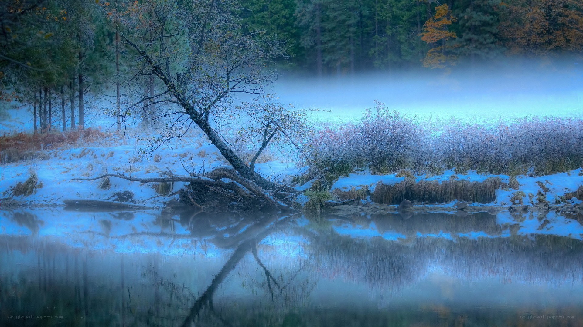 Frosty river at dawn