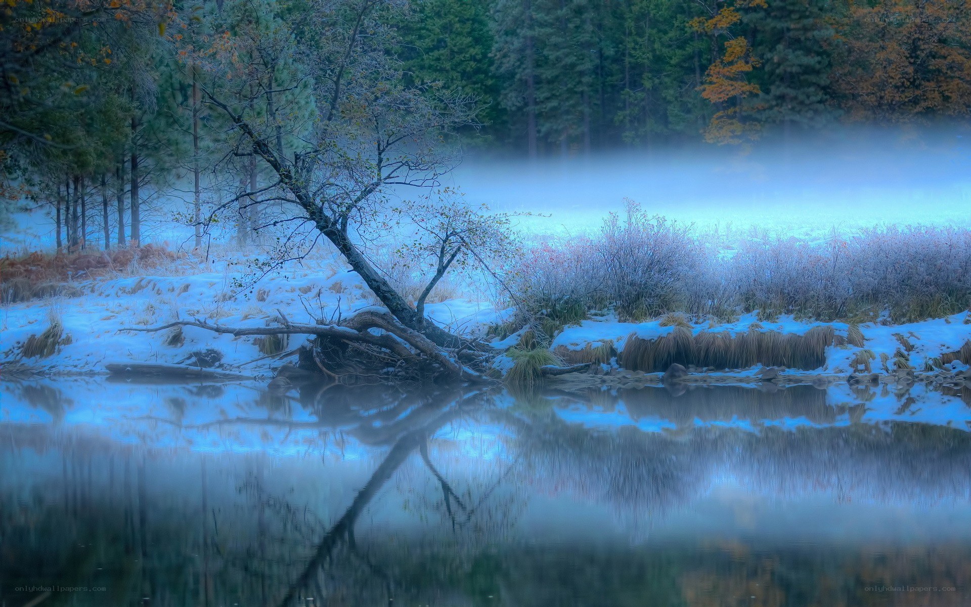 Frosty river at dawn