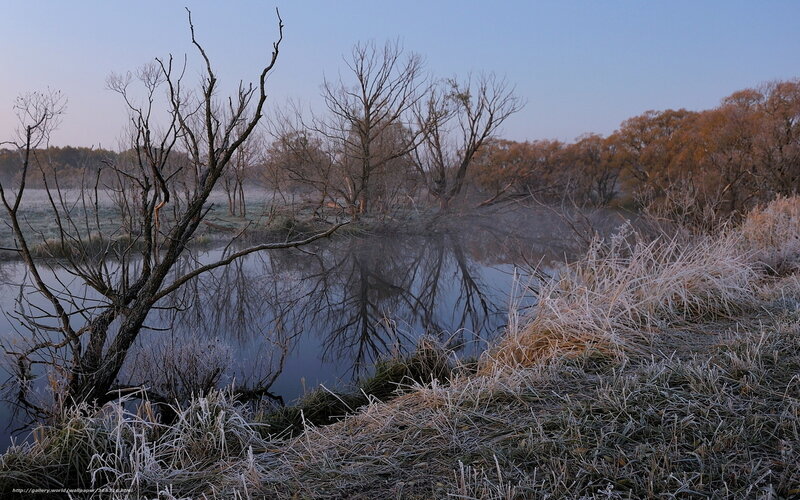 Frosty river at dawn