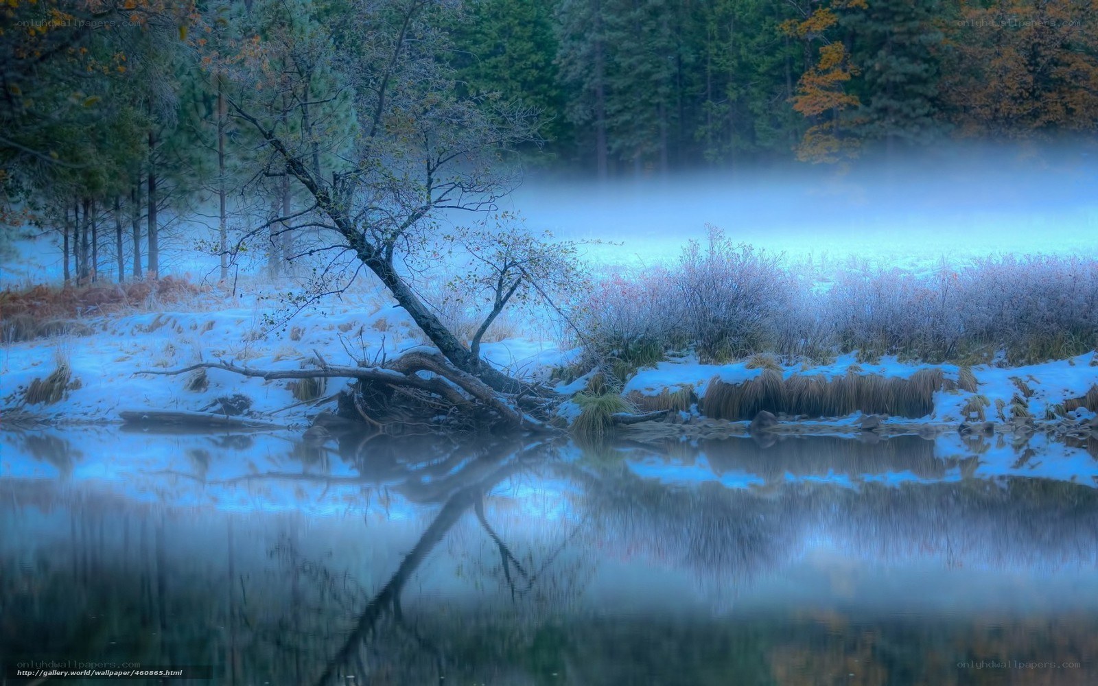 Frosty river at dawn