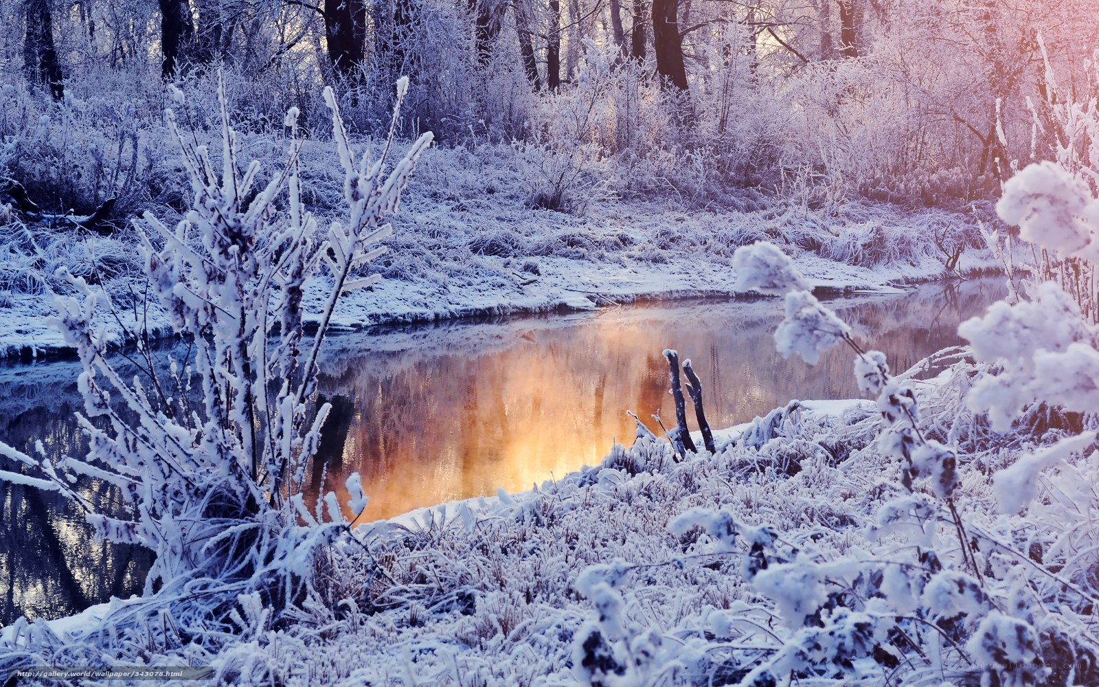 frosty river at sunrise