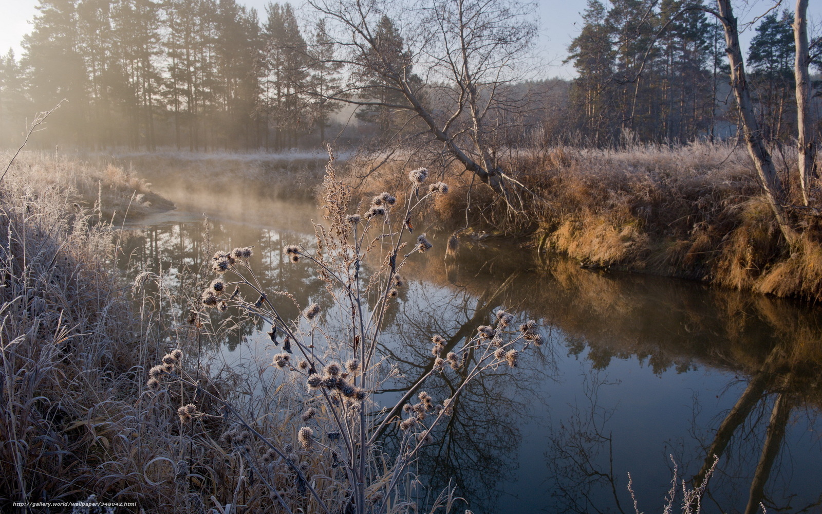 Frosty river at sunrise