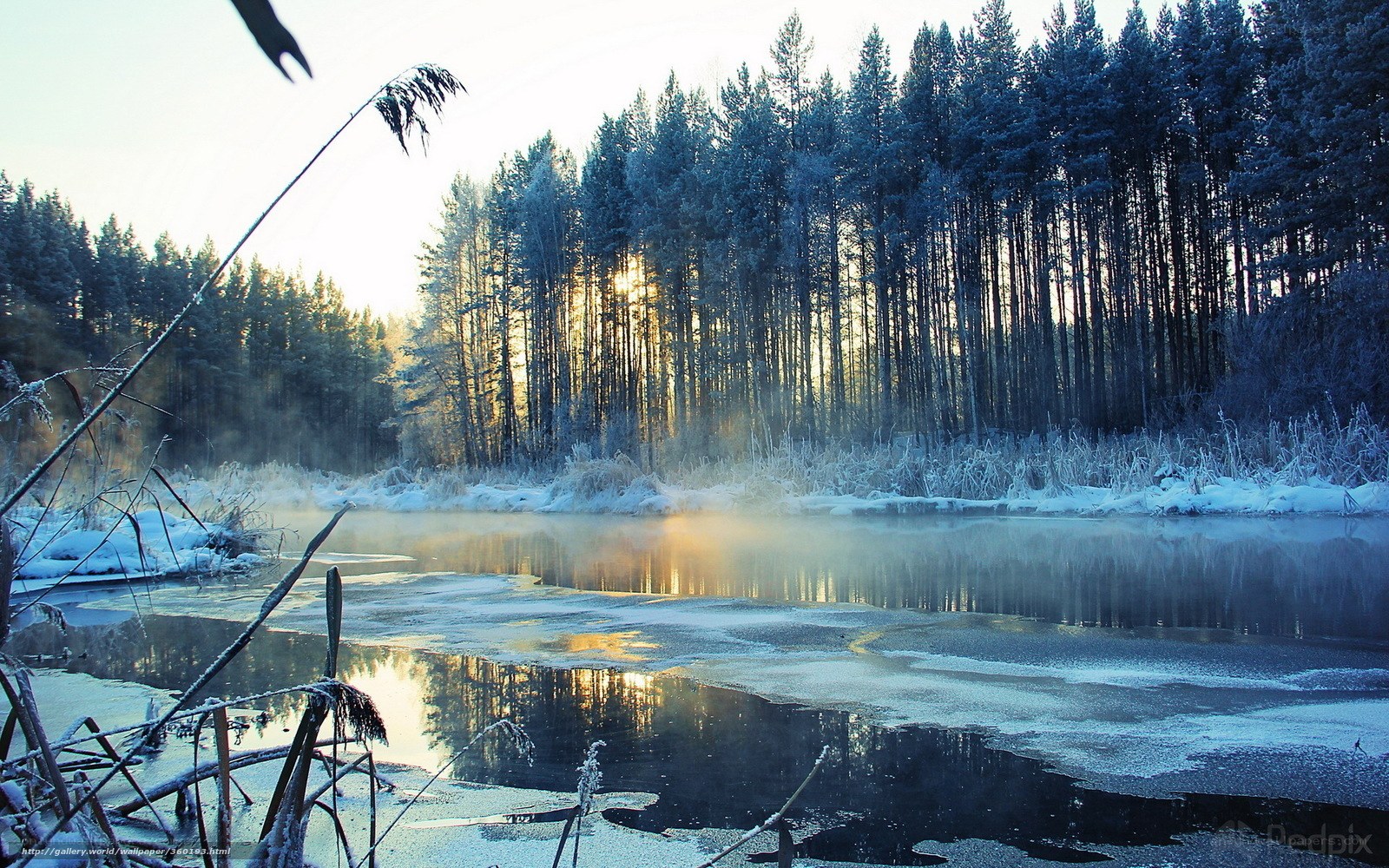 frosty river at sunrise