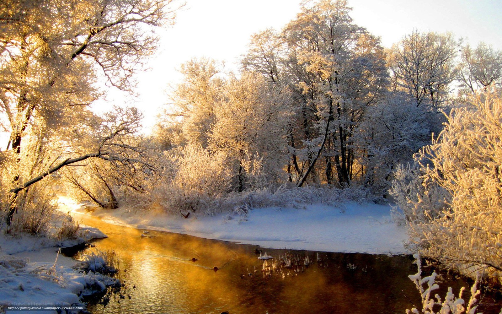 frosty river at sunrise