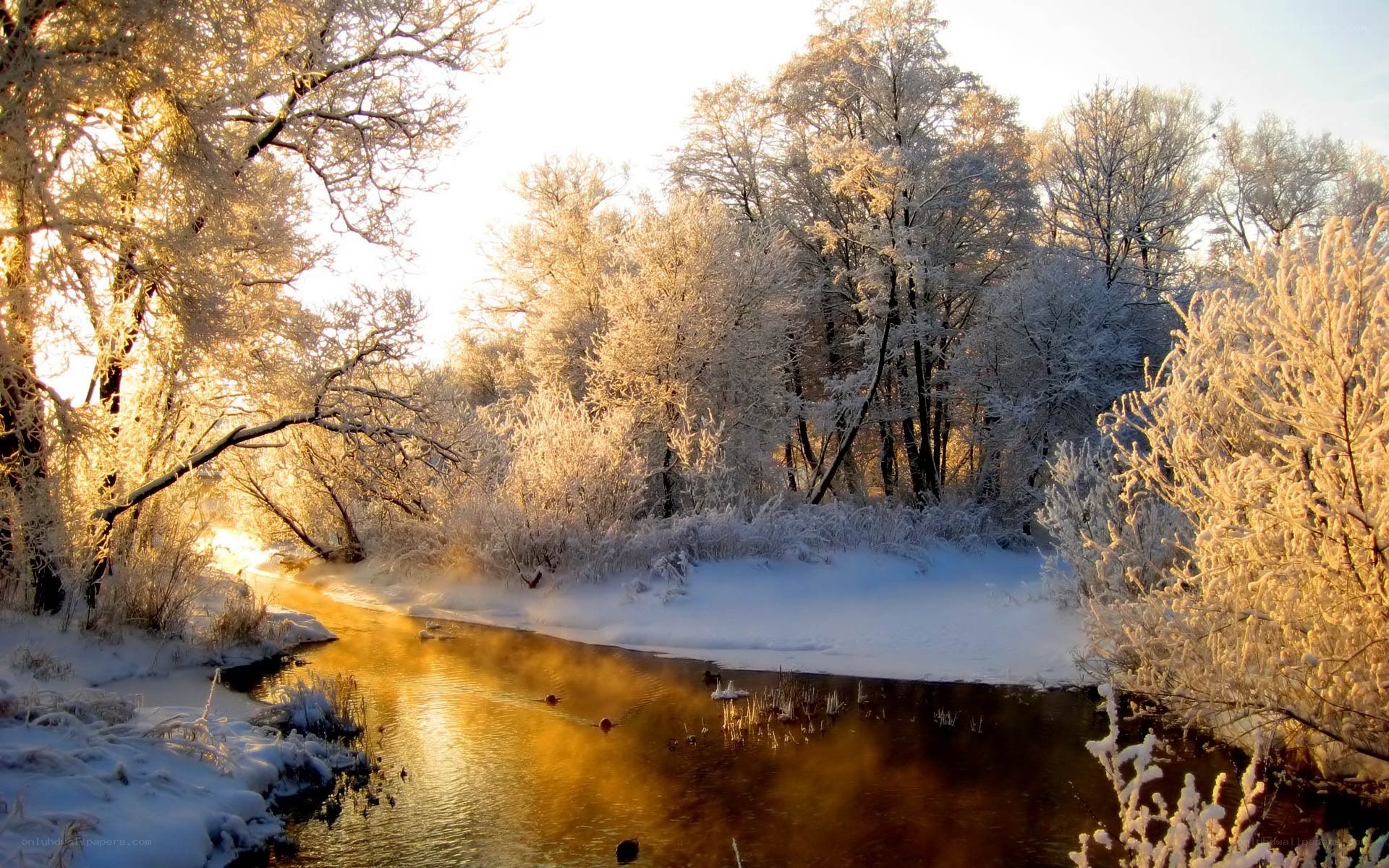 frosty river at sunrise