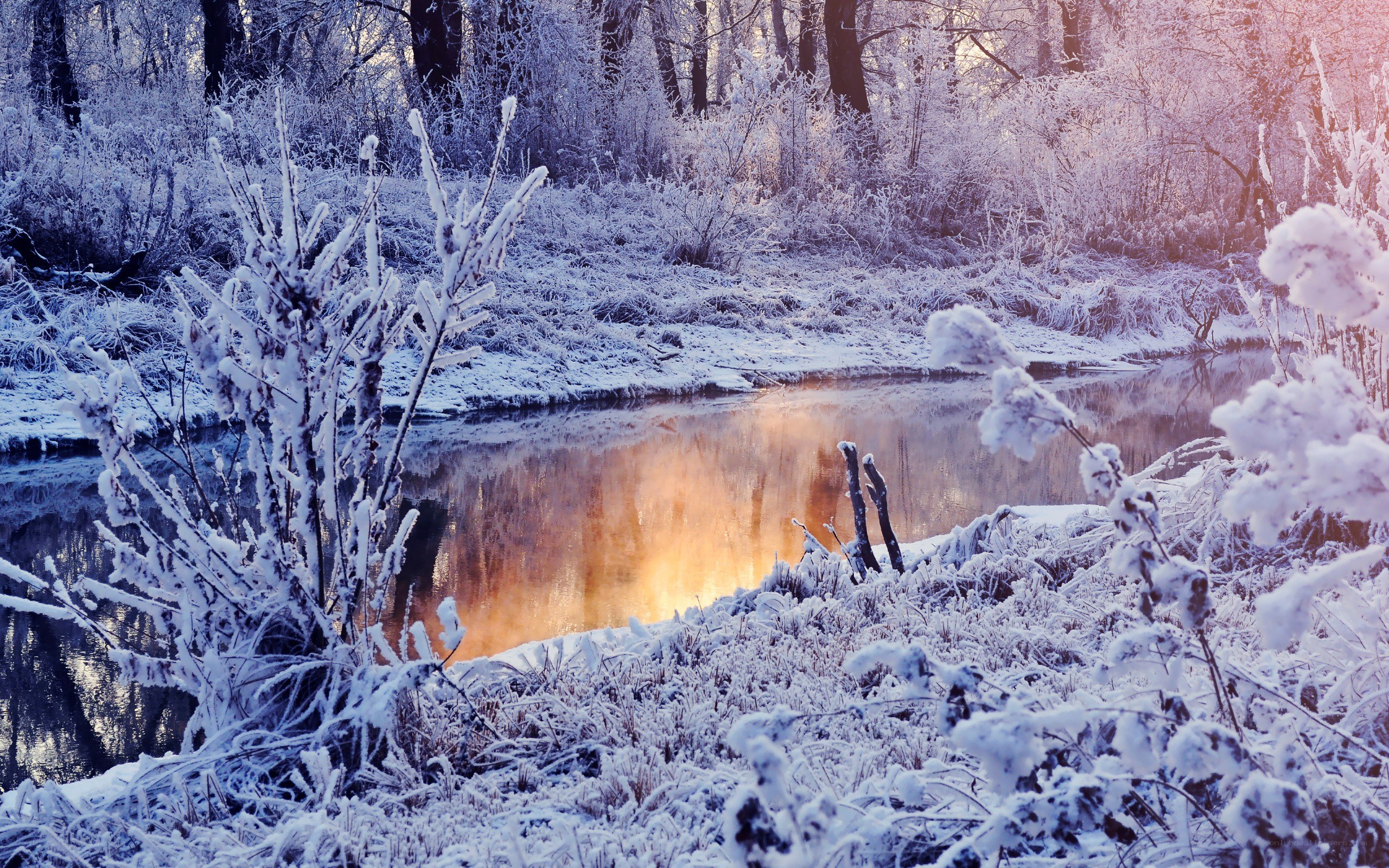frosty river at sunrise