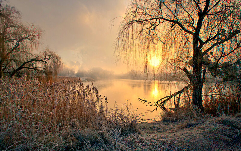Frosty River at Sunrise — Gold, Serene