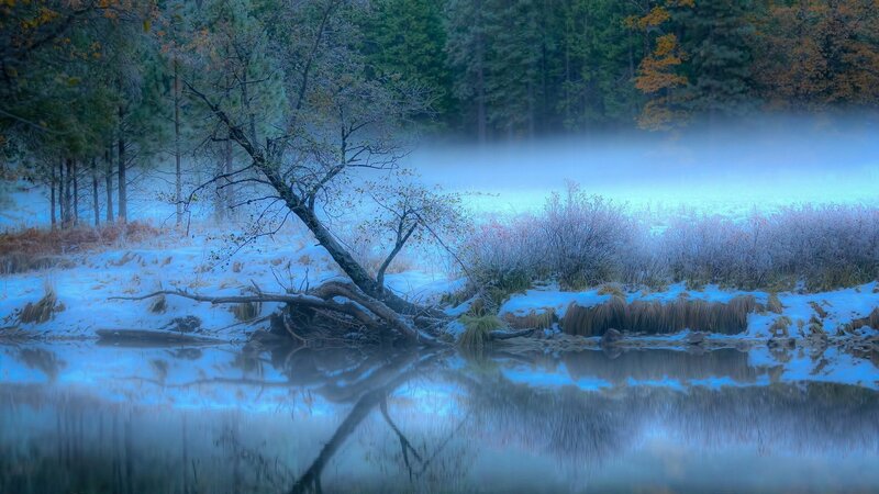 Frosty River in Forest