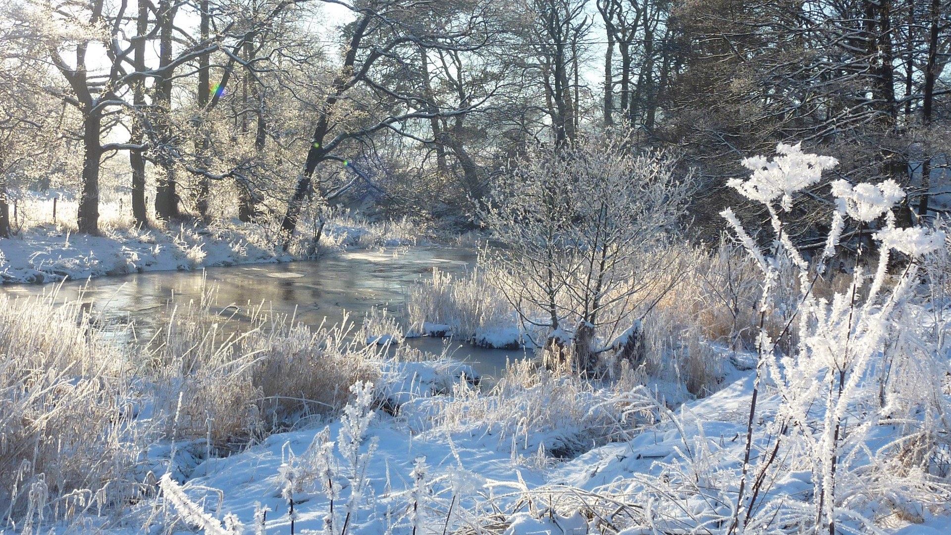 frosty river in winter forest