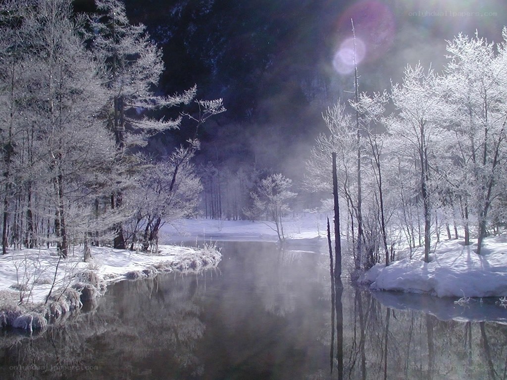 frosty river in winter forest