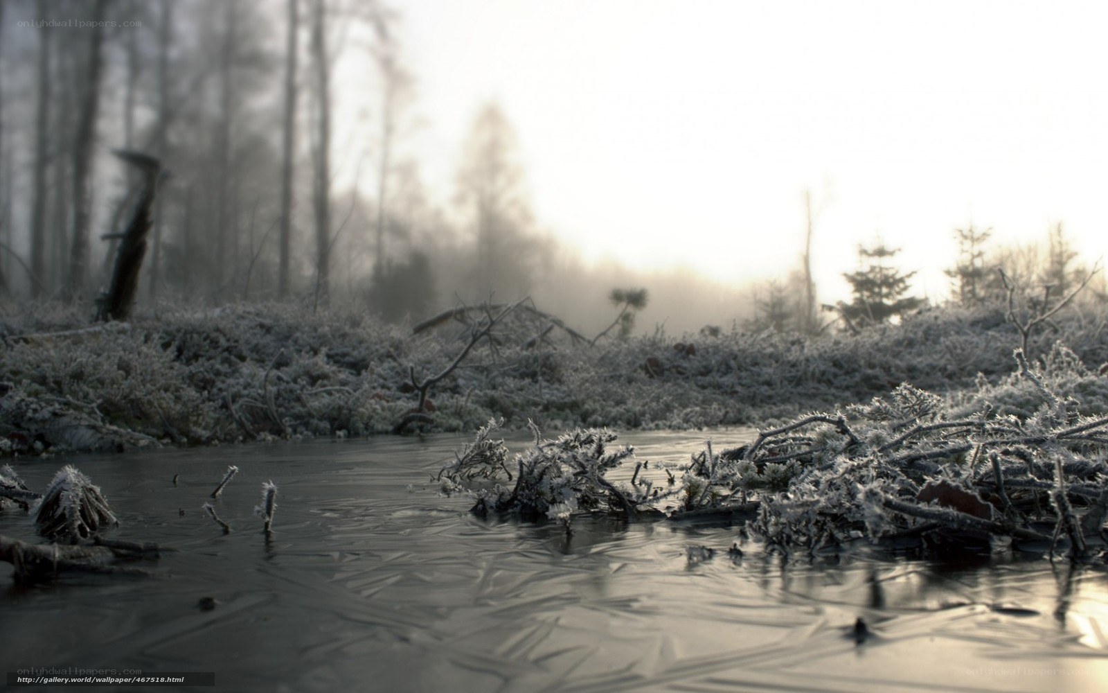 Frosty river in winter forest