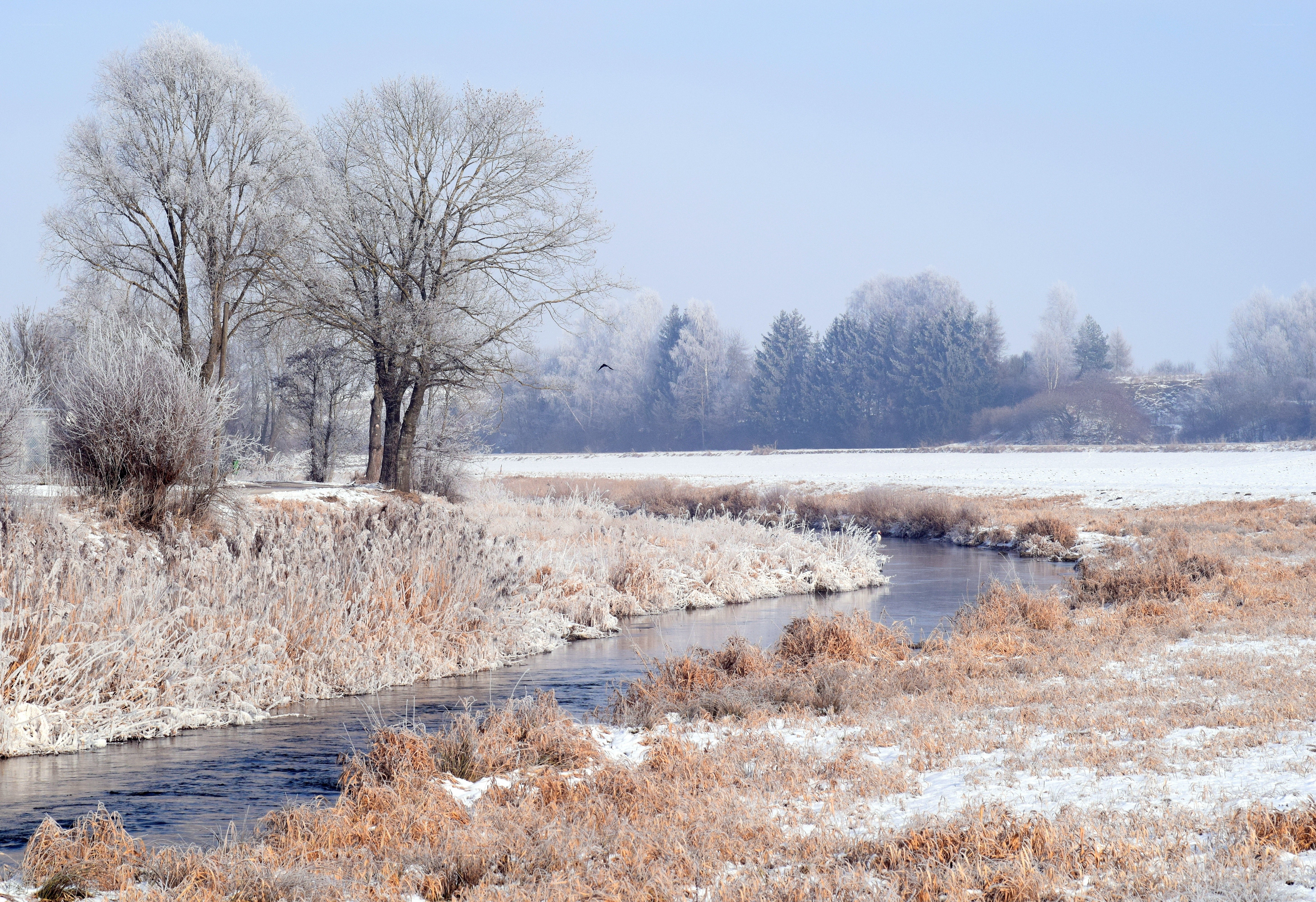 Frosty river in winter landscape