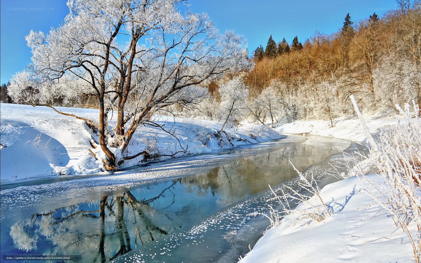 Frosty river in winter landscape