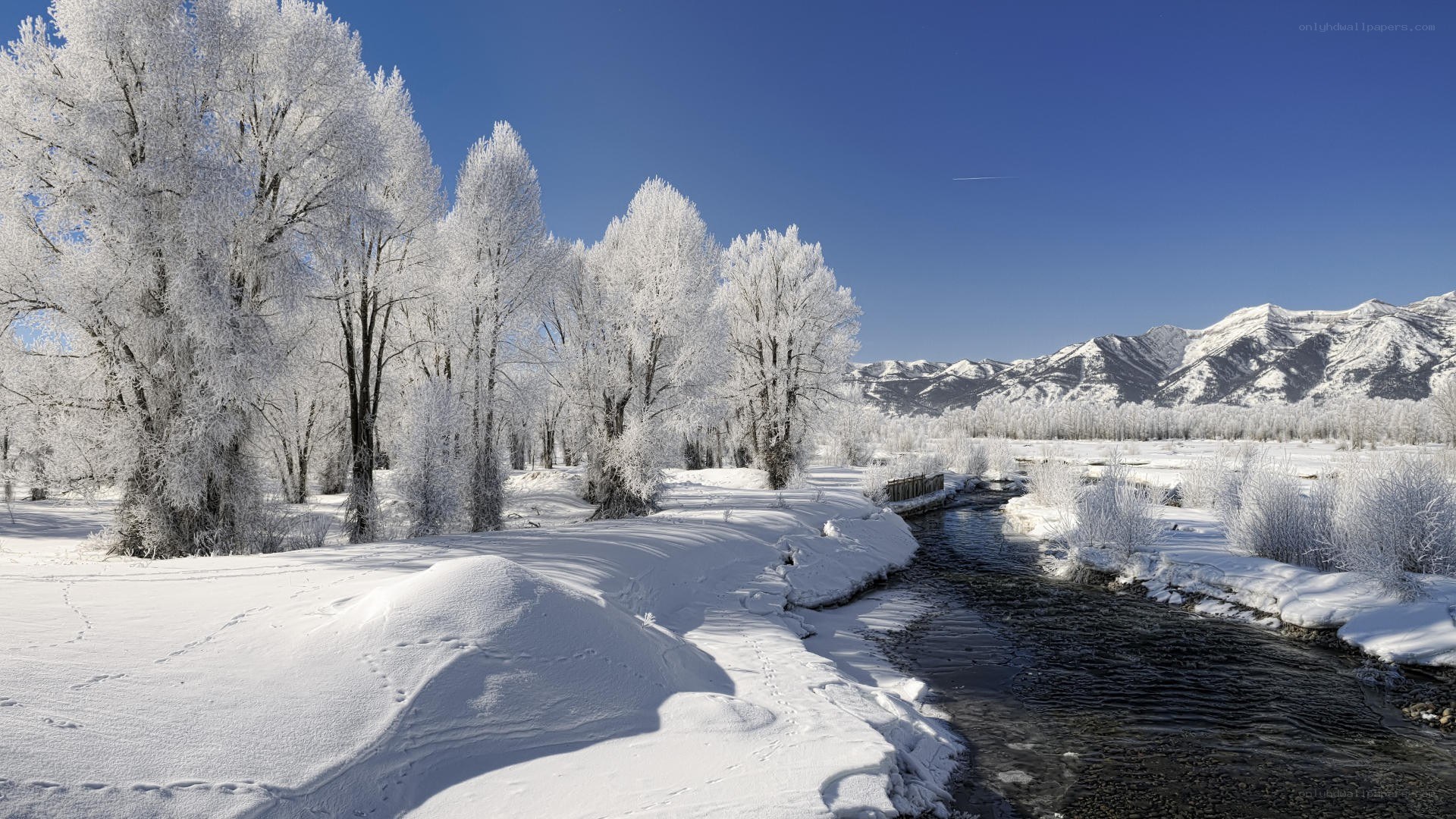 Frosty river in winter landscape