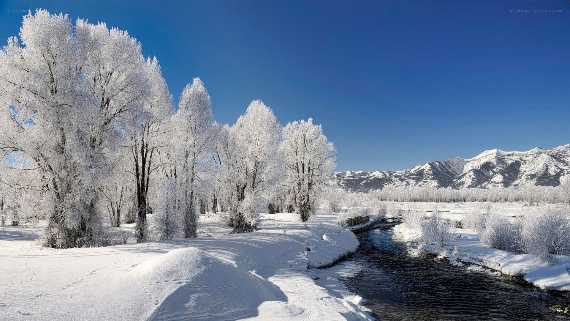 Frosty river in winter landscape