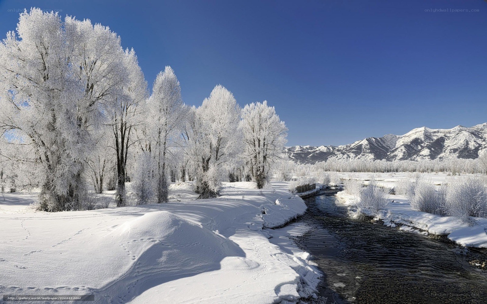 Frosty river in winter landscape